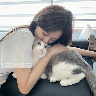 林边小屋 海报